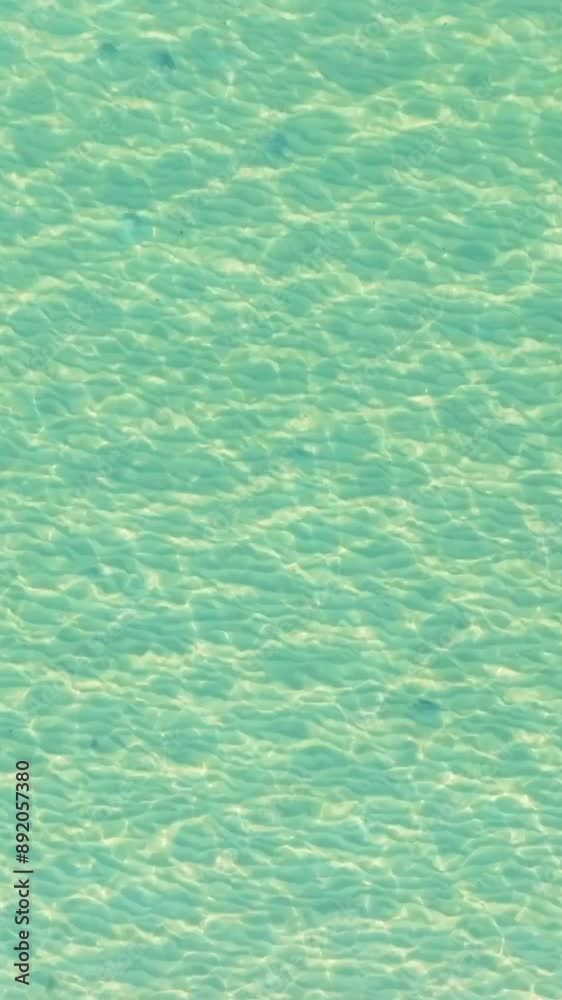 Aerial drone view of the tropical beach with clear turquoise sea, white sand and palm tree. Aerial drone view of the tropical beach with clear turquoise sea, white sand and palm tree.