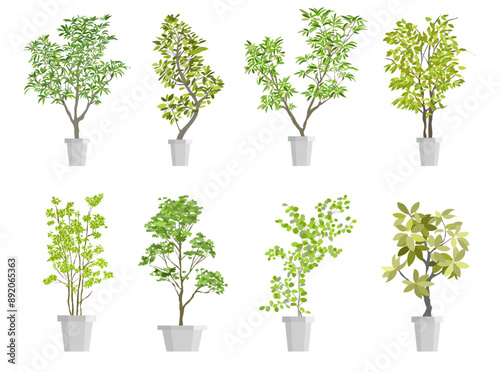 Flat vector Illustration of a foliage plant	
