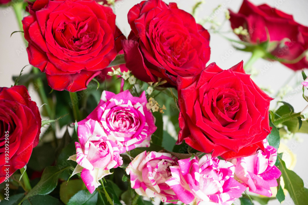 Naklejka premium カラフルな薔薇