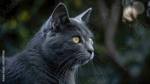 Attractive depiction of a grey feline