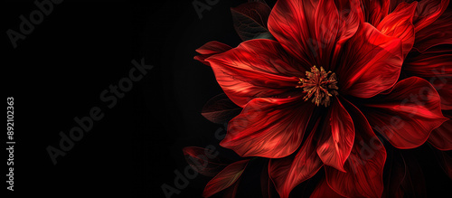 Red Flower Background