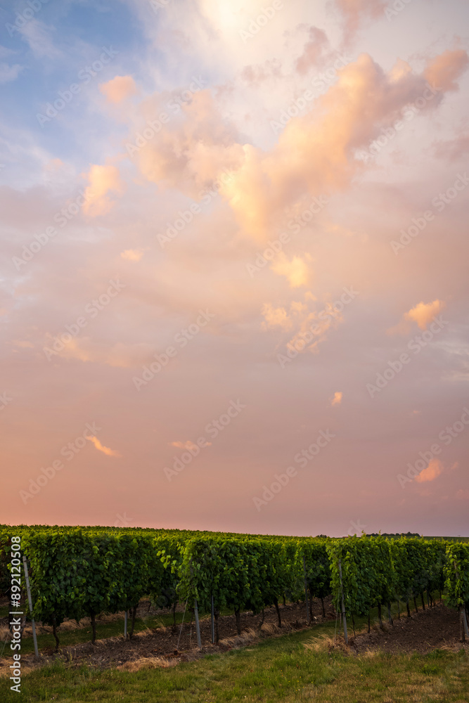 Obraz premium morning clouds in orange