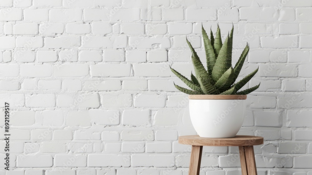Agave plant on stool with white brick background empty space Agave plant on stool with white brick background empty space