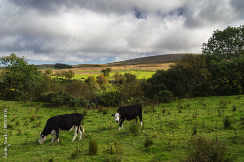 Knocklayd Mountain Glenariff in County Antrim, Northern Ireland  photo