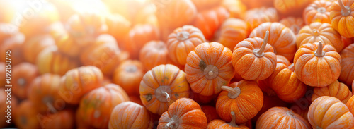 A pile of pumpkins, close-up, orange color tone, autumn season aethstetic, fresh and juicy appearance, stock photo quality, minimalistic photography photo