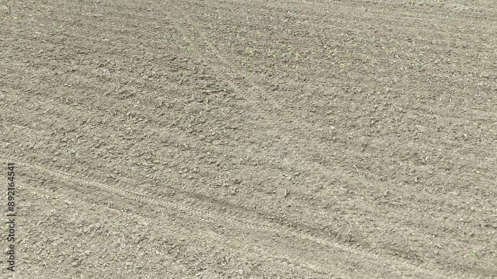 Aerial view from a drone of field prepared for growing rice in Thailand Aerial view from a drone of field prepared for growing rice in Thailand