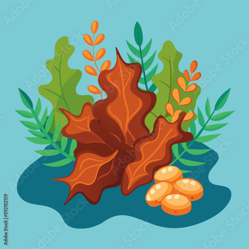 sea moss gummies nutrient rich superfood supplements