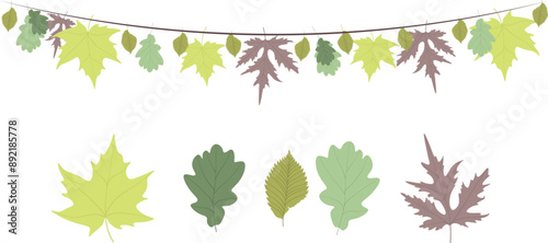 Set of fallen autumn leaves of oak, maple and tulip tree with partial shade on a white isolated background