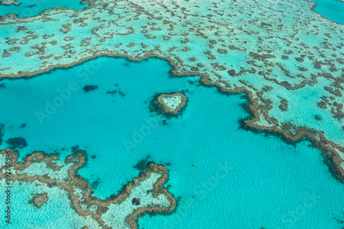 Heart Reef in the Great Barrier Reef off the coast of the Whitsundays 