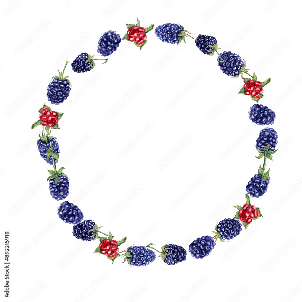 Wreath with ripe and unripe berries. Blackberry. Forest and garden juicy bramble. Dewberry and boysenberry. Black raspberries. Natural food. Watercolor illustration. Cope space for text Wreath with ripe and unripe berries. Blackberry. Forest and garden juicy bramble. Dewberry and boysenberry. Black raspberries. Natural food. Watercolor illustration. Cope space for text