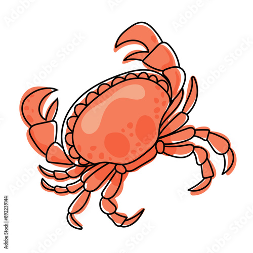 Crab isolated on transparent background. Crab vector illustration, perfect for wallpaper or design elements