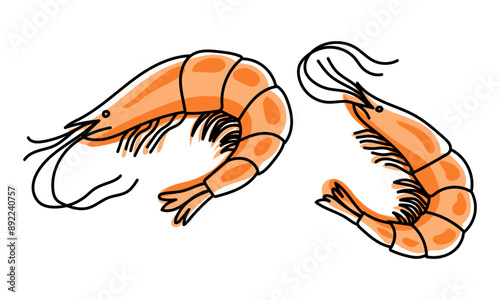 Shrimps isolated on transparent background, fresh sea food. Vector illustration for restaurant menu