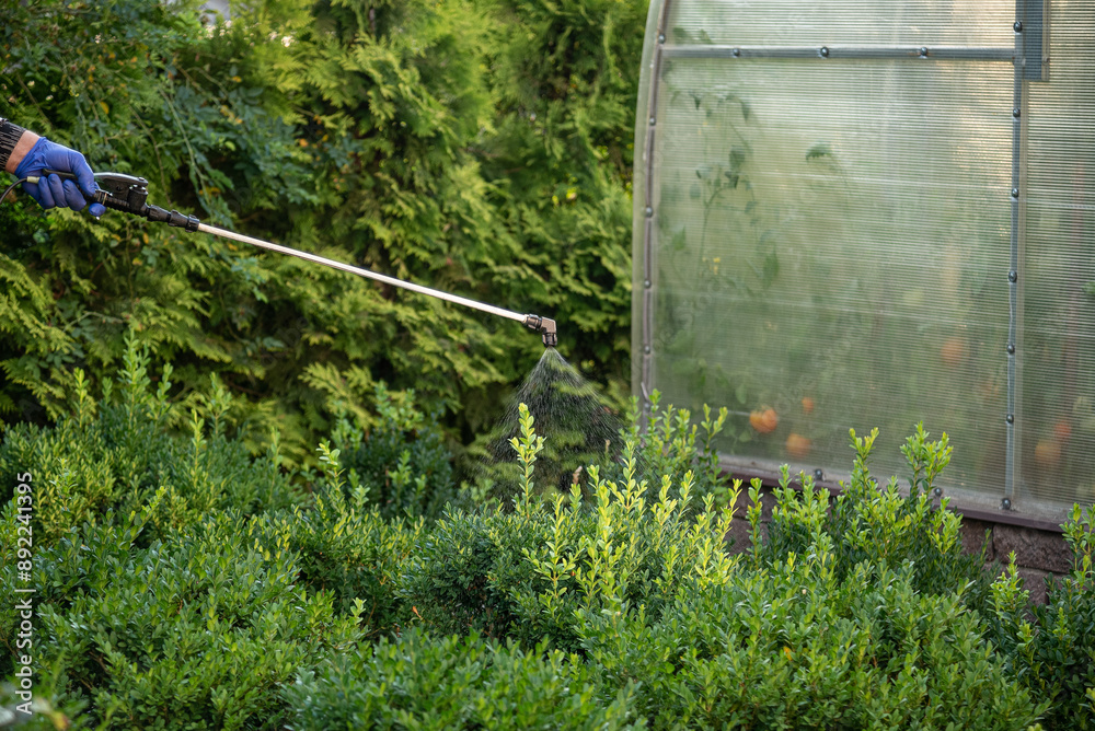 Treatment of ornamental plants from pests