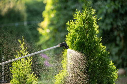 Treatment of ornamental plants from pests
