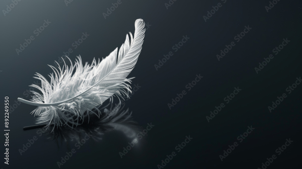 A photorealistic, high-resolution close-up of a white feather set against a black background. Generative AI A photorealistic, high-resolution close-up of a white feather set against a black background. Generative AI