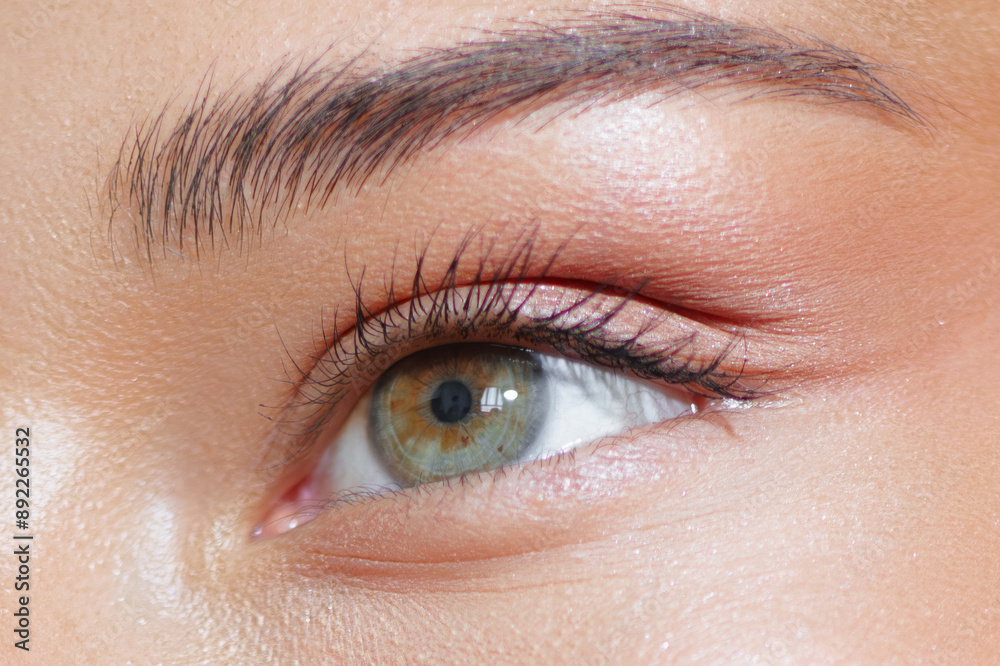 Extreme Close-Up of Woman's Green Eye With Perfect Makeup Extreme Close-Up of Woman's Green Eye With Perfect Makeup