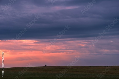 lonely tree against the backdrop of a beautiful sunset