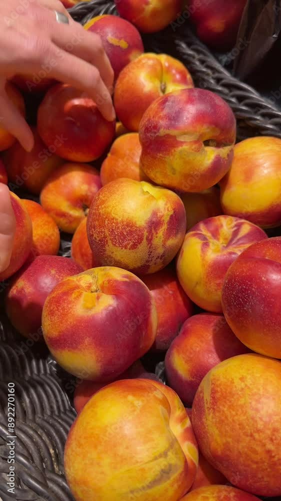Fresh organic nectarines peaches apricots in supermarket
