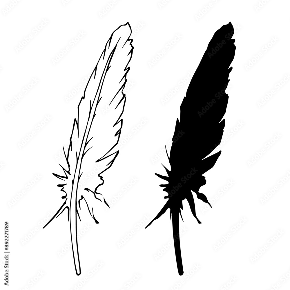 Obraz premium Linear sketch, outline, silhouette, bird feather stamp. Vector graphics.