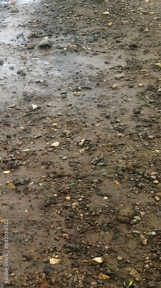 a patch of wet, muddy ground. The surface is uneven and covered with small rocks and pebbles. There are some puddles of water scattered across the area, indicating recent rain or moisture a patch of wet, muddy ground. The surface is uneven and covered with small rocks and pebbles. There are some puddles of water scattered across the area, indicating recent rain or moisture