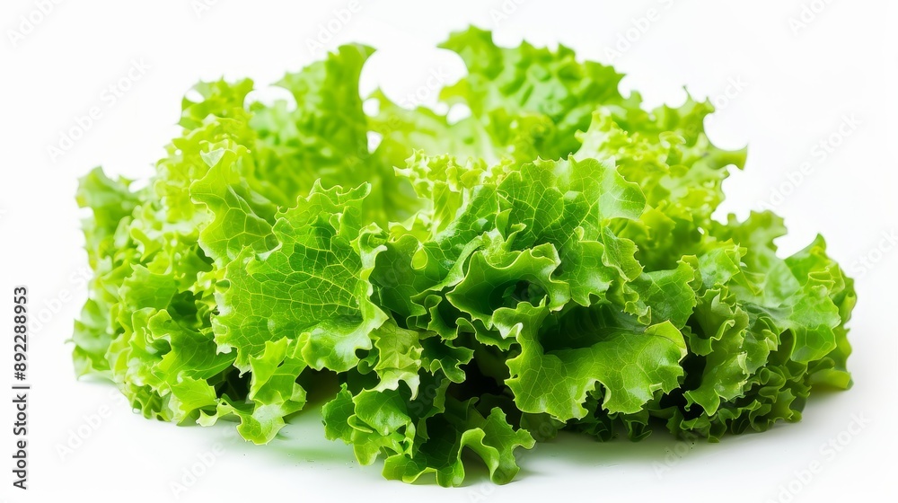Fresh and healthy lettuce leaves isolated on a clean white background, showcasing their vibrant green color and crisp texture, ideal for salads and healthy eating Fresh and healthy lettuce leaves isolated on a clean white background, showcasing their vibrant green color and crisp texture, ideal for salads and healthy eating