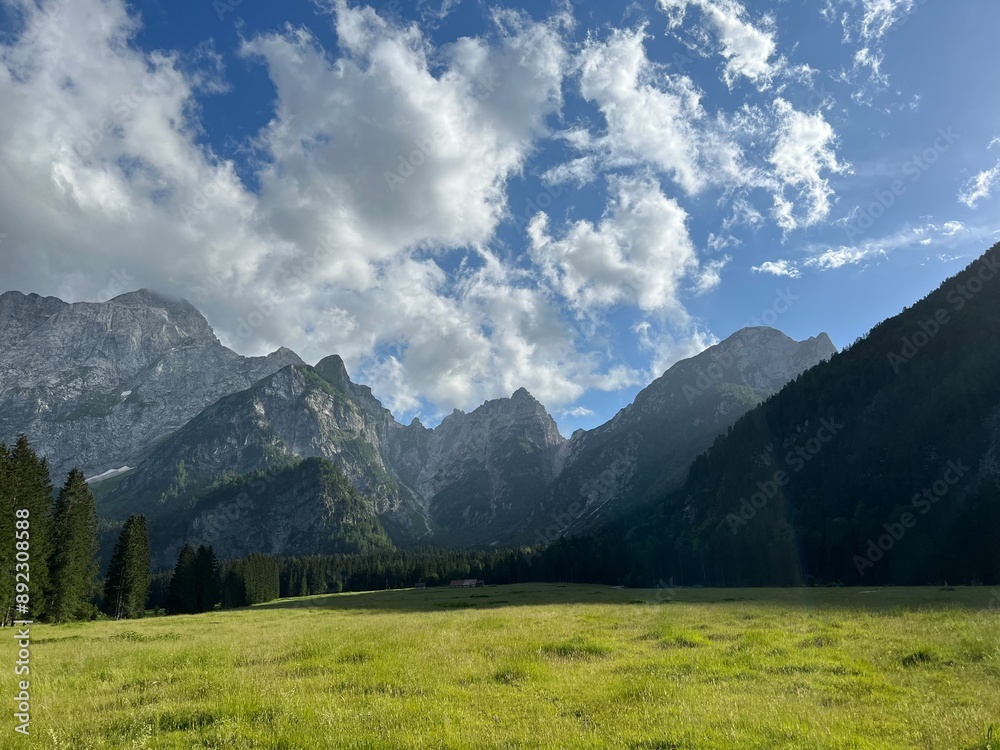 Fototapeta premium landscape with lake