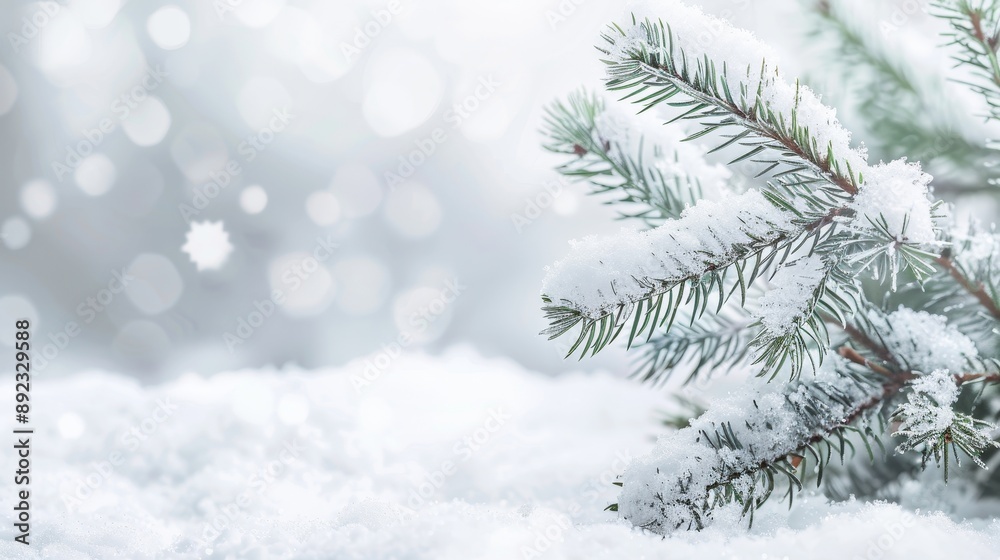 Beautiful Light Background Image for Invitation or Postcard on New Year's Theme with Snow-Covered Spruce Branches and Pristine Snowy Surface Beautiful Light Background Image for Invitation or Postcard on New Year's Theme with Snow-Covered Spruce Branches and Pristine Snowy Surface
