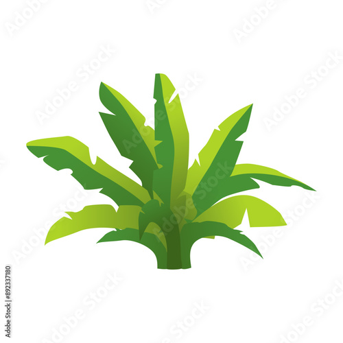 Green bush of banana plant, jungle grass and foliage with long leaves vector illustration