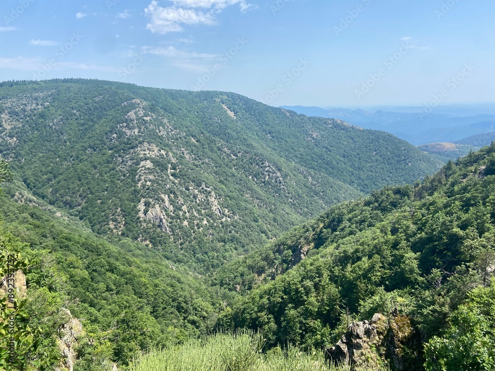 Naklejka premium Paysage de montagne dans les Cévennes