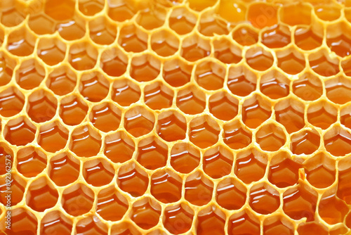 Bees collecting honey from the honeycomb. Beehive beekeeper hive concept. Bees on a honeycomb collecting honey. Bees collecting lifestyle honey from the honeycomb.