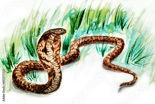 Fotografie snake in the grass big snake reptile