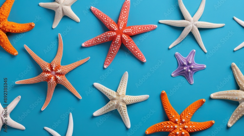 Vibrant Starfish Skin Pattern Texture with Rough Texture Vibrant Starfish Skin Pattern Texture with Rough Texture