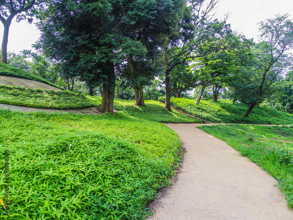 Obraz premium 【神奈川県】逗子市・長柄桜山１号墳