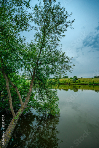 Summer aethatics . Summer landscapes .Lake , sunset , night, countryside . Sunny days at summer . Forest mystery . Sunset over the woods 