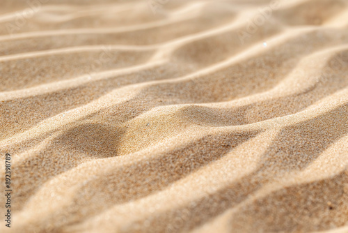 yellow sand background, wavy lines on the sand