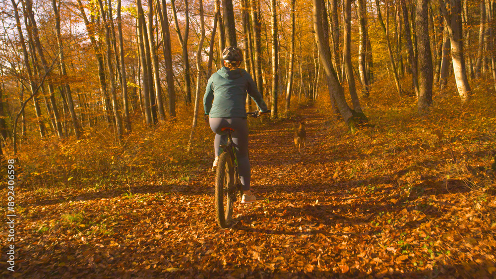 Fototapeta premium Young lady riding through autumn forest on electric bike with a dog by her side