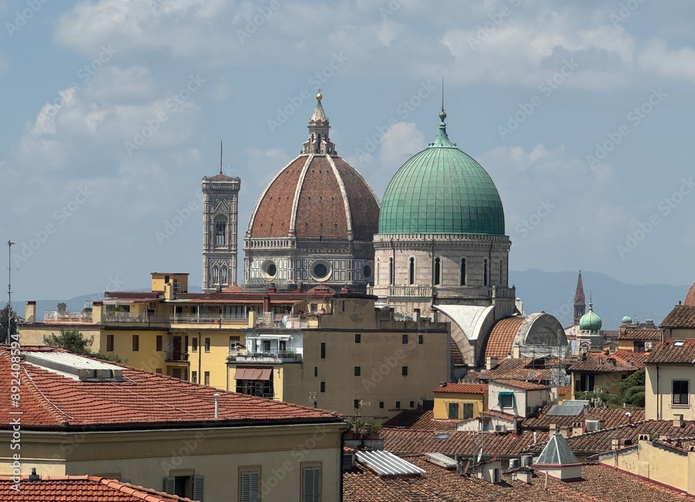 Fototapeta premium city del fiore