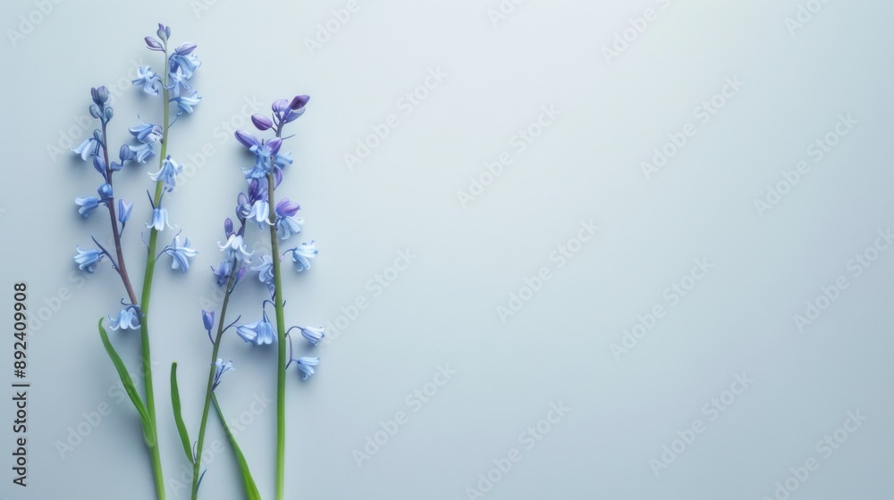 Obraz premium Tranquil Bluebells of Gratitude - Delicate Flowers on White Background Representing Humility and Appreciation