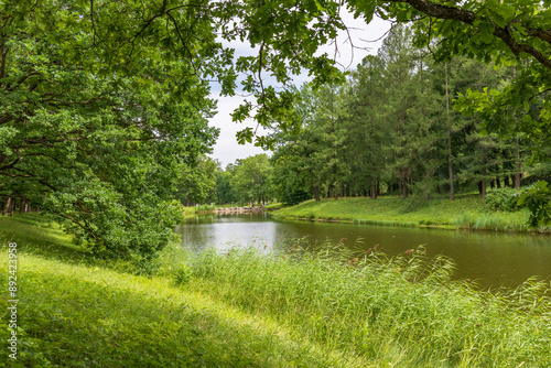 Fototapeta Naklejka Na Ścianę i Meble -  A lush green park with a pond and trees