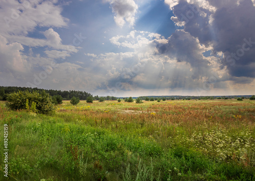 Sunbeam shines on green meadow with wildflowers, framed by white and gray clouds, creating a serene scene