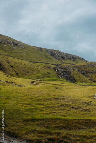 Village of Saksun, Faroe Islands photo