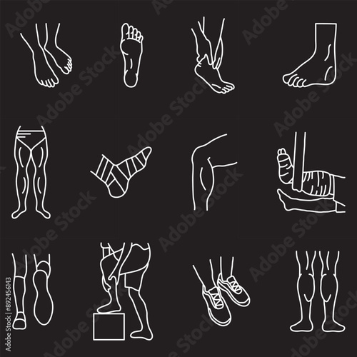 leg icons collection 