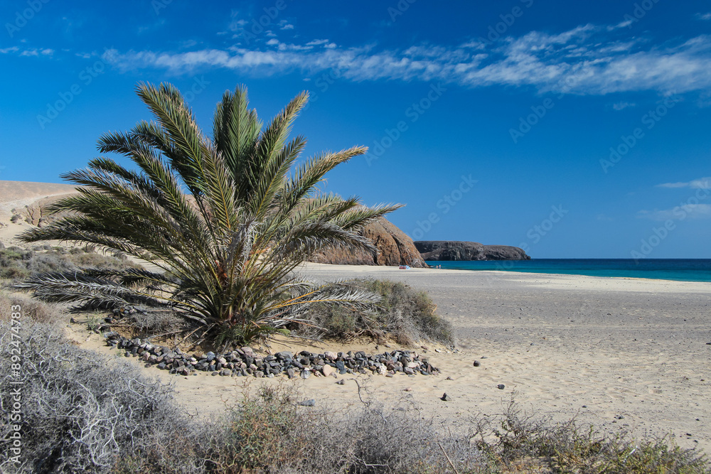 Φωτογραφία Krajobraz morski, tropikalna piaszczysta plaża, widok na horyzont, wakacje i wyp
