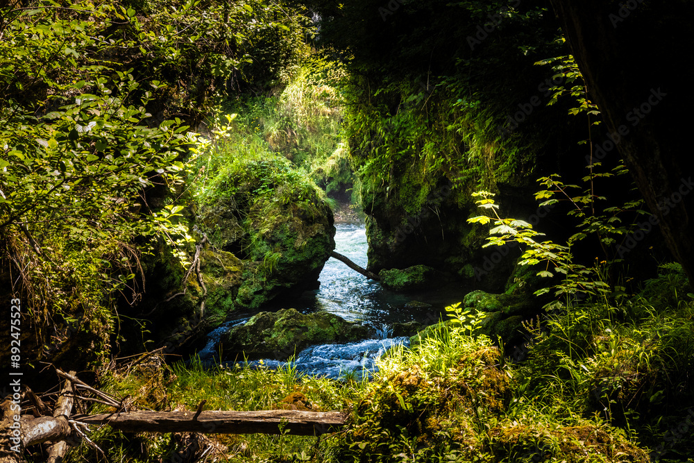 Beautiful Korana river waterfalls overgrown in vegetation at the village of Rastoke, Croatia Beautiful Korana river waterfalls overgrown in vegetation at the village of Rastoke, Croatia