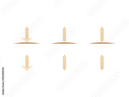 Set of simple wheats ears logo icons and grain design elements for beer vector template