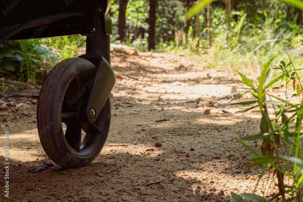 Fototapeta premium Rough Path