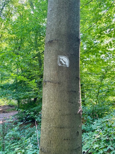 Die Rüdigsdorfer Schweiz, auf dem weg zum Kohnstein und den Alabasterkugeln photo