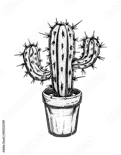 cactus pot engraving black and white outline