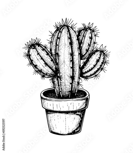 cactus pot engraving black and white outline