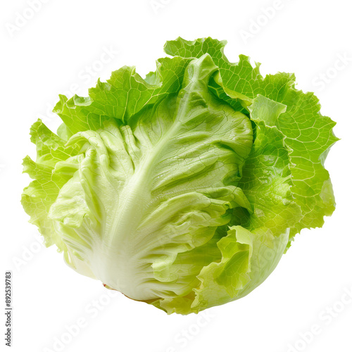 Fresh and Crisp Iceberg Lettuce Isolated without Background. photo